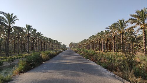 Bushehr Province